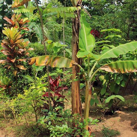 Suba Home Stay Sigiriya Exterior photo