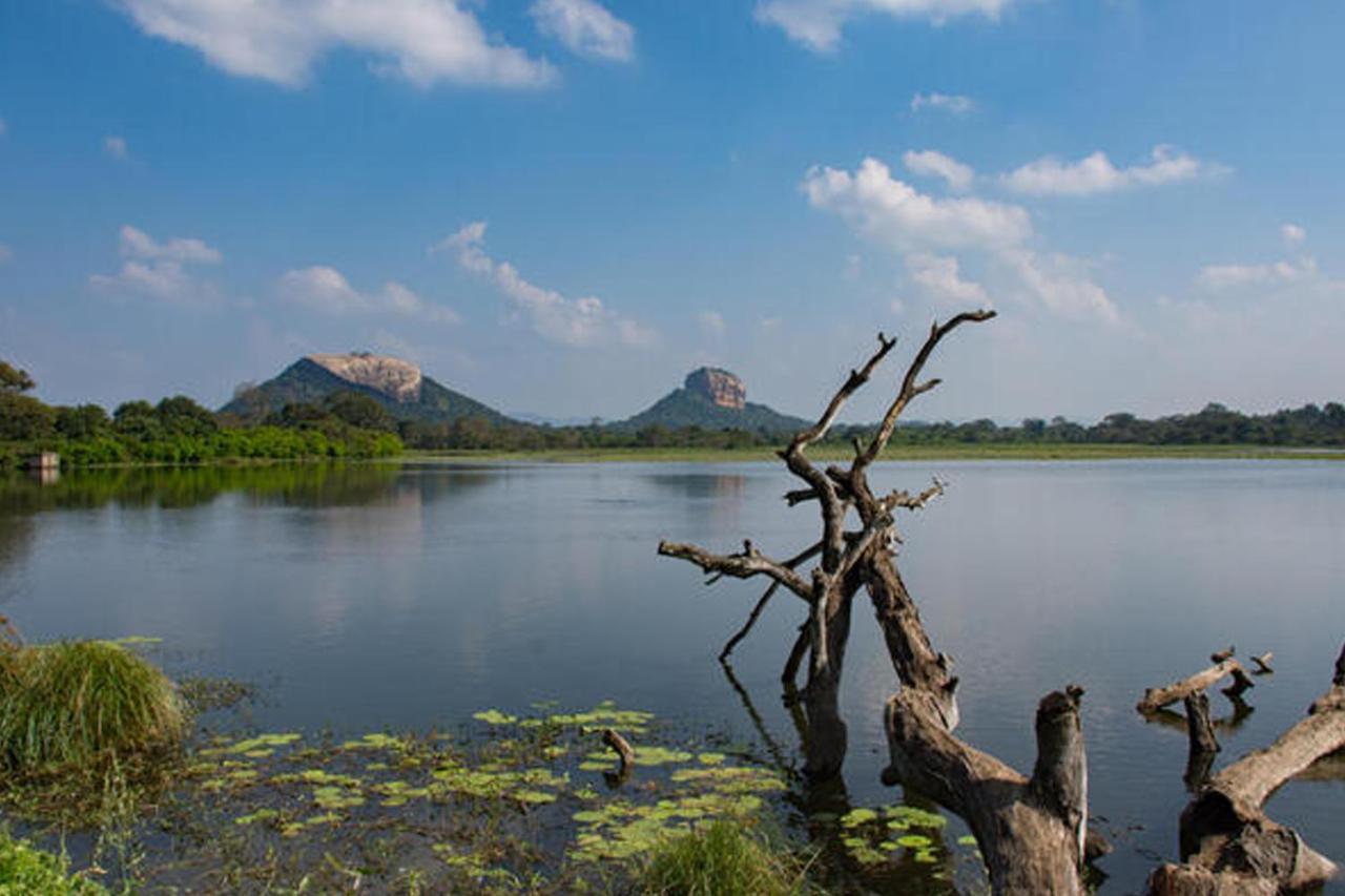 Suba Home Stay Sigiriya Exterior photo